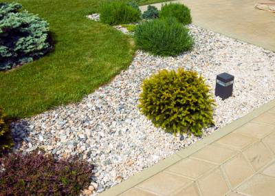 Terrasse, gazon et petites plantations