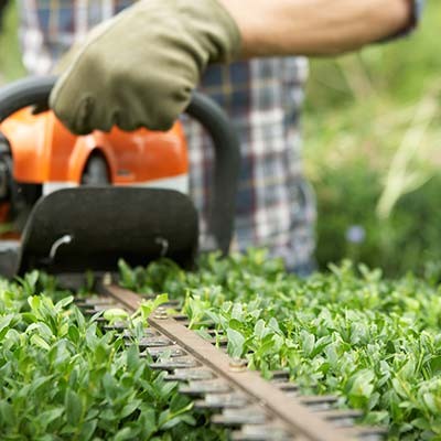 10 accessoires pour entretenir votre jardin en Wallonie